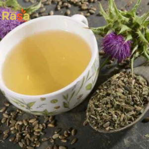 Milk Thistle Tea & Drink (Silybum marianum) – Premium Garden Fresh Herbal Infusion | Pure Beverage for Natural Lifestyle
