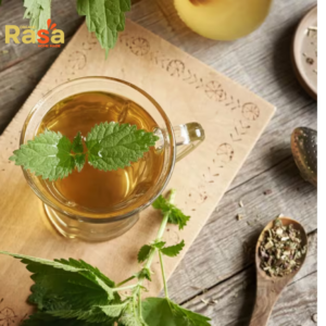 Nettle Leaves Tea & Drink (Urtica dioica) – Premium Garden Fresh Herbal Infusion | Pure drink for Natural Lifestyle