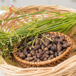 Nagarmotha Tea (Cyperus rotundus) – Premium Nut Grass Herbal Infusion | Pure Botanical Drink for Natural Lifestyle