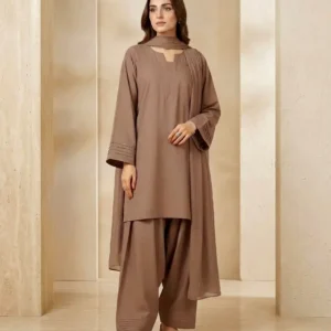 3 Pcs Women's Stitched Cotton Plain Suit