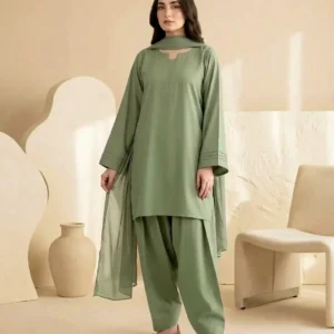 3 Pcs Women's Stitched Cotton Plain Suit