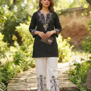 2 Pcs Women's Stitched Cotton Embroidered Shirt And Trouser