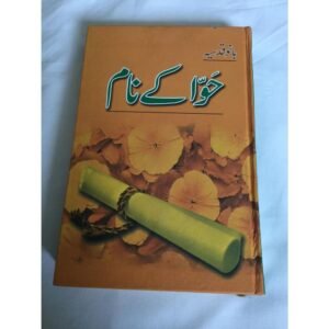 Urdu Novel Hawa Ke Naam by Bano Qudsia A5 Cover